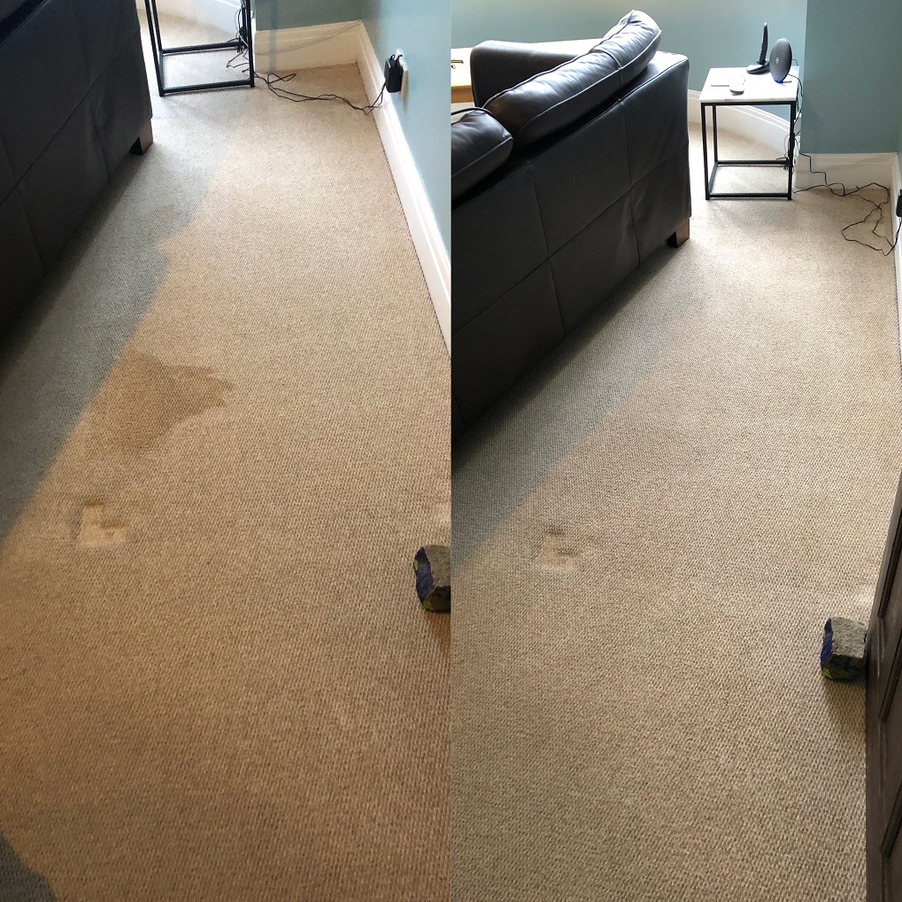 Carpet Cleaning Fast Affordable Oven Carpet Cleaning Near Me