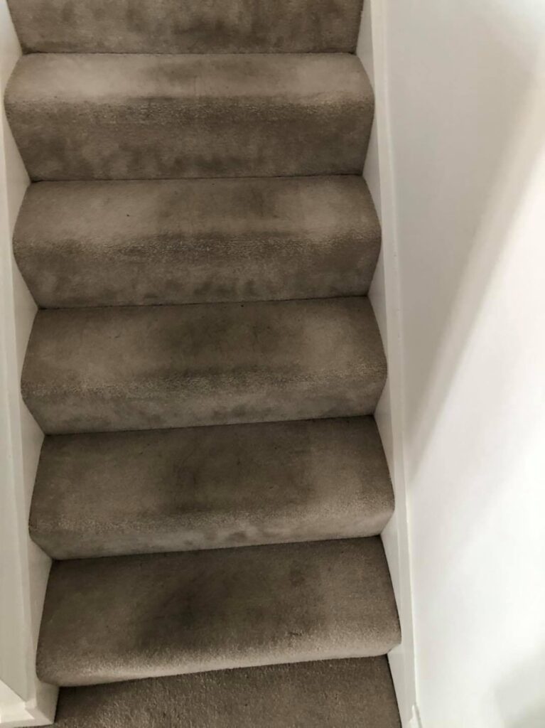 117843099_651011149103579_1072878953704092113_n