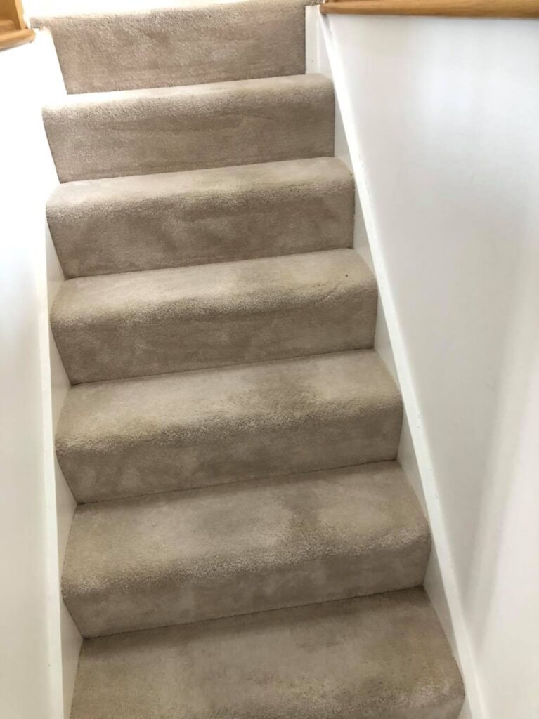 117905335_651011155770245_8165991932329064882_n