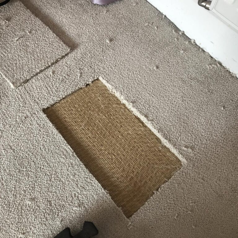 486298137_1198464765615078_4116456020644440493_n