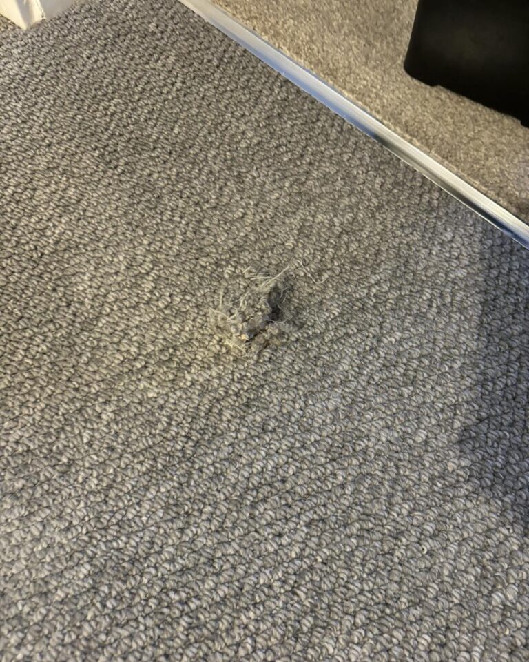 490110088_1214330130695208_1644093492503176011_n