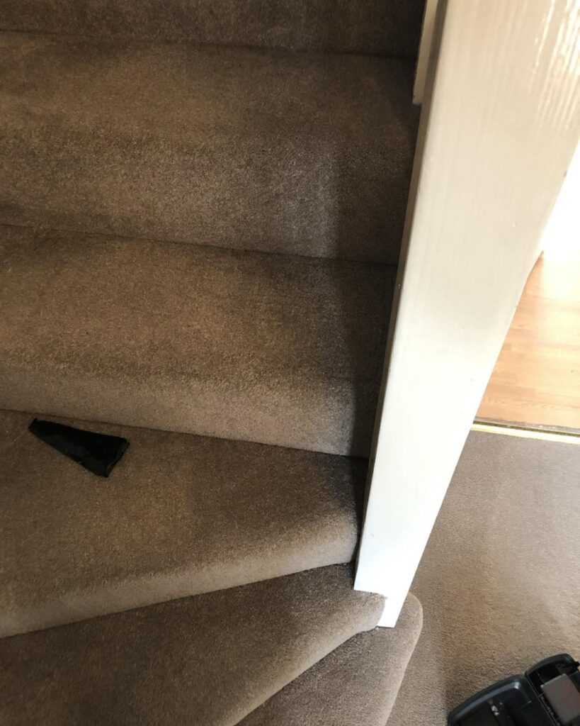 494579461_1232543692207185_4024285674067638568_n