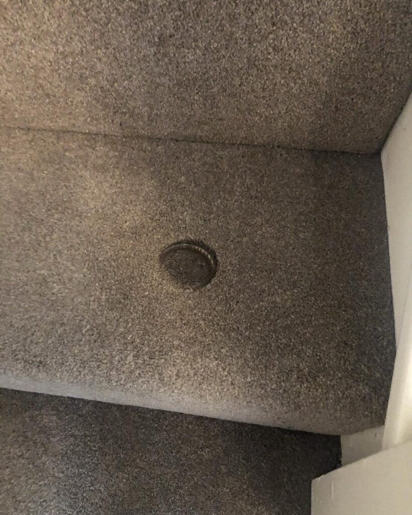 494580719_1232543795540508_5832240968796977164_n