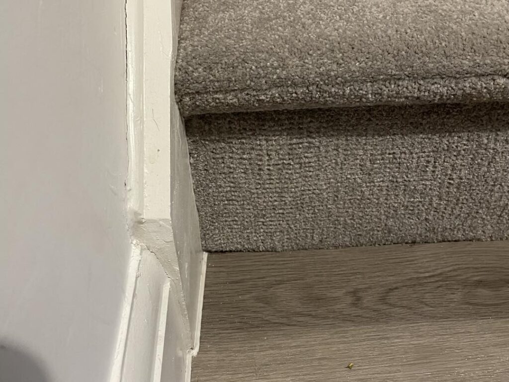 494633097_1234414575353430_8028268654658010207_n