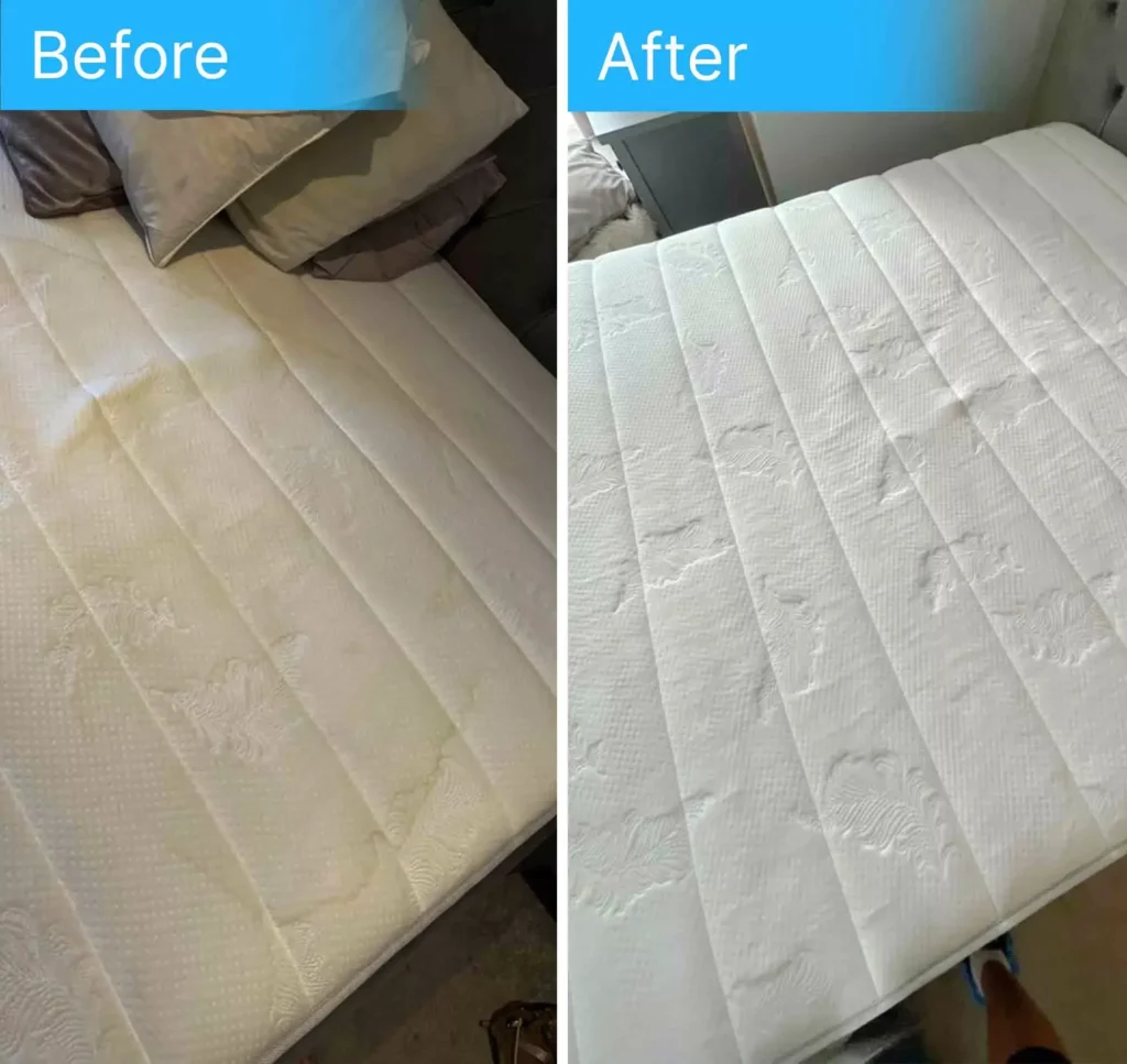 imgi_79_mattress-cleaning-before-after-d