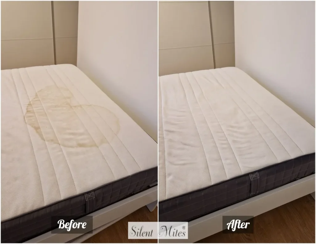 imgi_82_ikea-mattress-cleaning-1